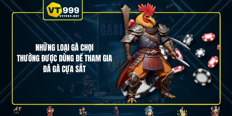 Những loại gà chọi thường được dùng để tham gia đá gà cựa sắt