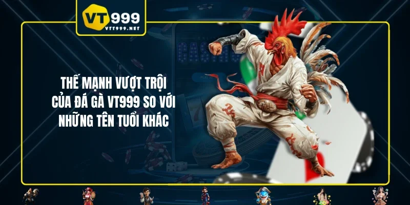 Thế mạnh vượt trội của đá gà VT999 so với những tên tuổi khác